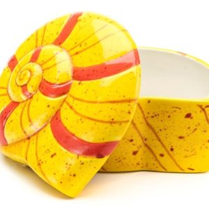 Nautilus Shell Box - Case of 6