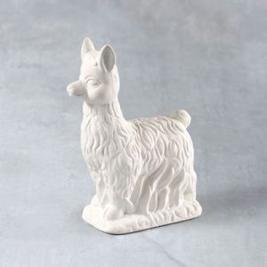 Llama - Case of 6 - Special