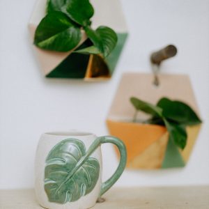 Hexagon Wall Planter - Case of 6