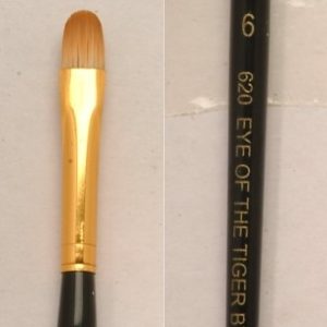 Eye of the Tiger Filbert # 6