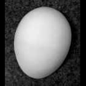 Pear Shaped Hump for Clay Building