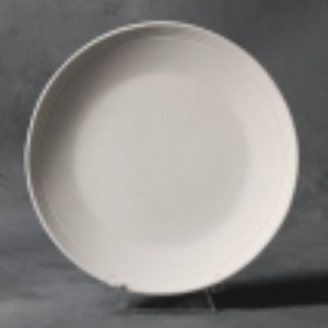 Rimmed Salad Plate- Case of 6