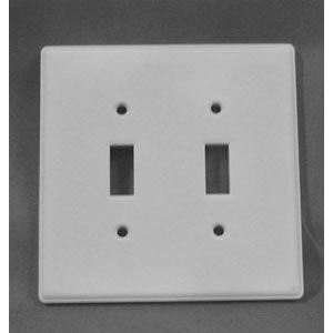 Double Switch Plate