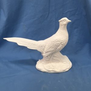 Pheasant