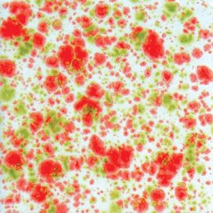 Noel - 16 oz Mayco Jungle Gem Crystal Glaze