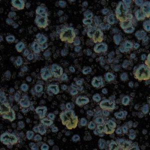 Obsidian - 16 oz Mayco Jungle Gem Crystal Glaze