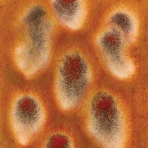 Dragons Breath - 4oz. Mayco Jungle Gem Crystal Glaze