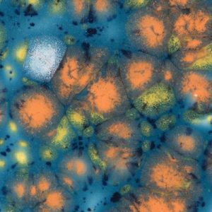 Koi Pond - 4oz Mayco Jungle Gem Crystal Glaze