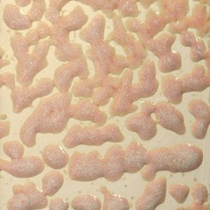 Flux Crawl 16-oz. Amaco Crawl Mid-Range Glaze