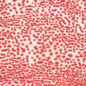 Red 16-oz. Amaco Crawl Mid-Range Glaze