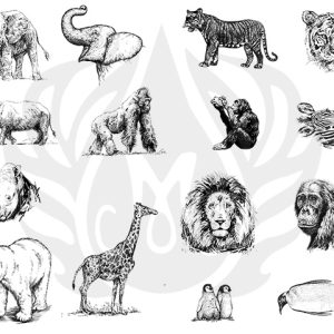 Zoo Animals Designer Silk Screen