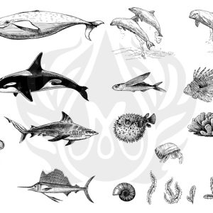 Sea Life 2 Designer Silk Screen