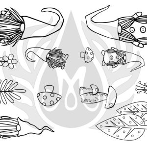 Gnomeland Designer Silk Screen