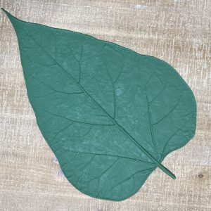 Large Rubber Catalpa Leaf Form