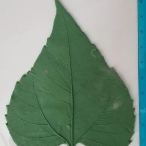 LP142 Medium Pointed Sunflower Rubber Leaf Forms