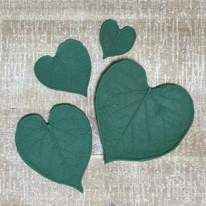 Morning Glory Leaf Forms (Set of 4)