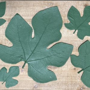 Fig Leaves (set of 6)