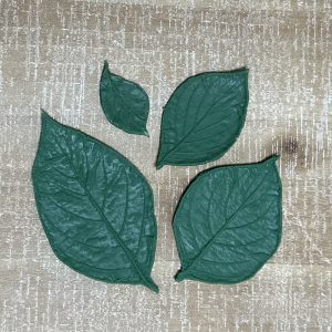 Dogwood Rubber Forms (Set of 4)