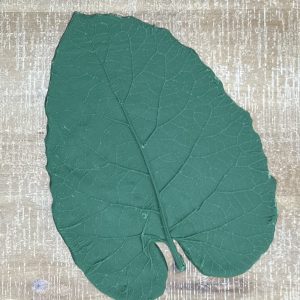 Burdock Rubber Leaf Form Set