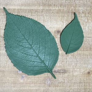 Large & Small Hydrangia Rubber Leaf Forms (Set of 2)