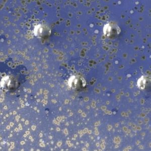 Blue Spark - 16oz Amaco Potters Choice Cone 5 Glaze