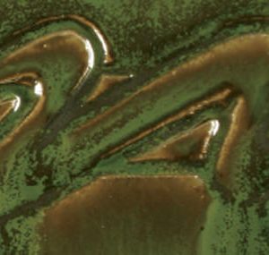 Seaweed - 16oz Amaco Potters Choice Cone 5 Glaze