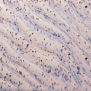 Aurora Breeze - 16oz Amaco Potters Choice Flux Cone 5 Glaze