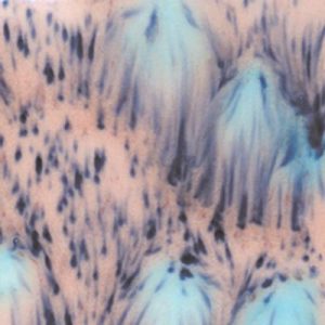 Northern Lights - 16 oz Mayco Crystal Glaze