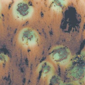 Cappuccino Mint - 4oz Mayco Crystal Glaze