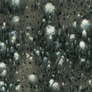 Cosmic Black - 4oz Mayco Crystal Glaze