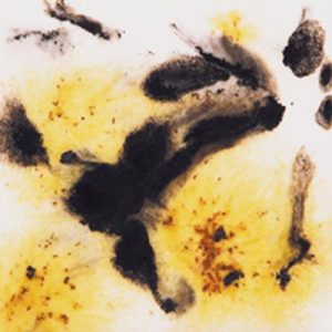 Cheetah - 16 oz Mayco Crystal Glaze