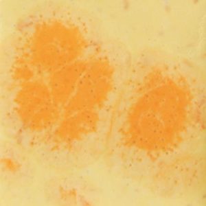 Citrus Splash - 4oz Mayco Crystal Glaze