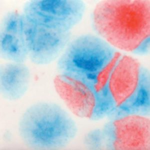 Kaboom - 4oz Mayco Crystal Glaze