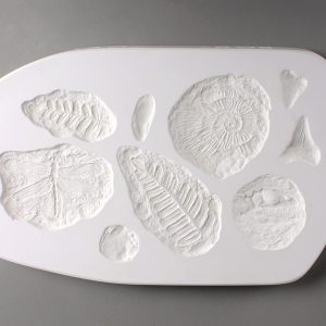 Fossils 2 Sprig Mold