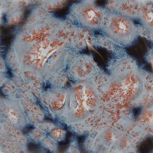 Galaxy - 16 oz Mayco Stoneware Glaze