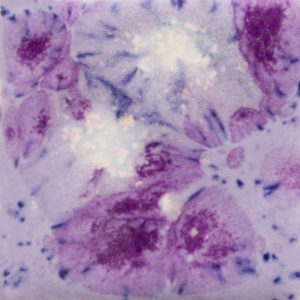 Purple Reign - 4-oz Mayco Jungle Gem Crystal Glaze