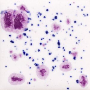 Frosted Berries - 4-oz Mayco Jungle Gem Crystal Glaze