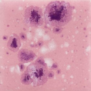 Pink Plum  - 4-oz Mayco Jungle Gem Crystal Glaze