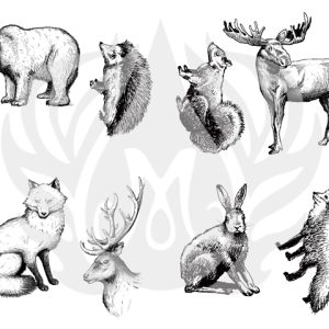 Woodland Animals - Designer Silk Screen