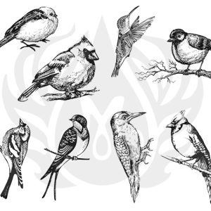 Aviary Small Birds - Designer Silk Screen