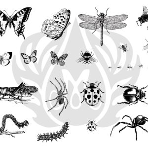 Bugs Designer Silk Screen