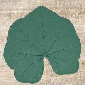 Rubber Leaf Forms