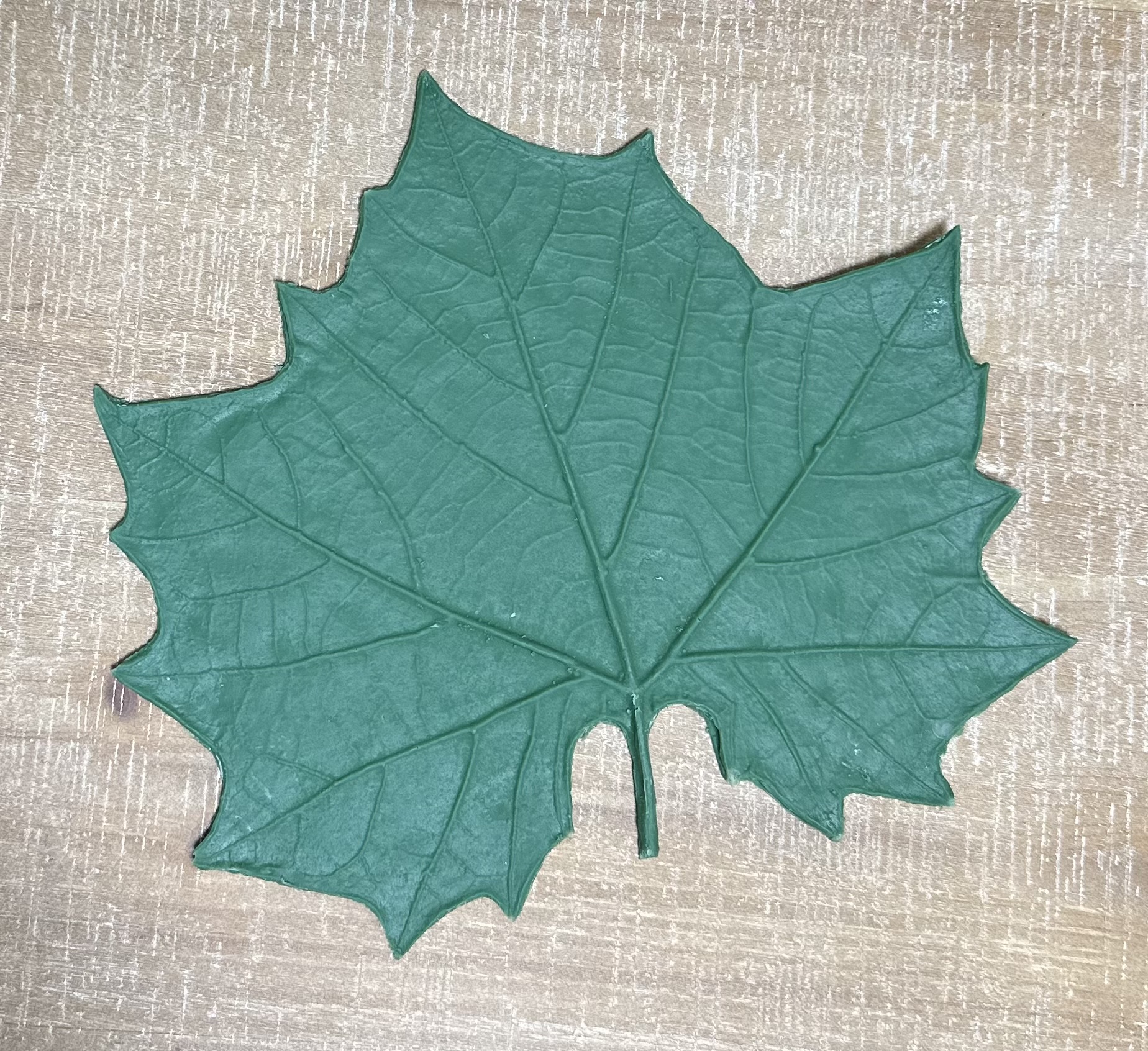 Rubber Leaf Forms