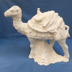 Standing Camel