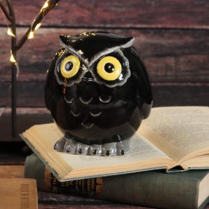 Tot Hoot Bank