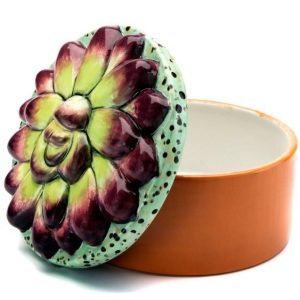 Succulent Box #1