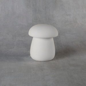Mushroom Box