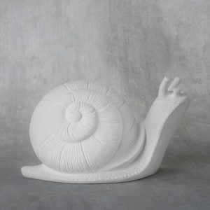 Garden Snail