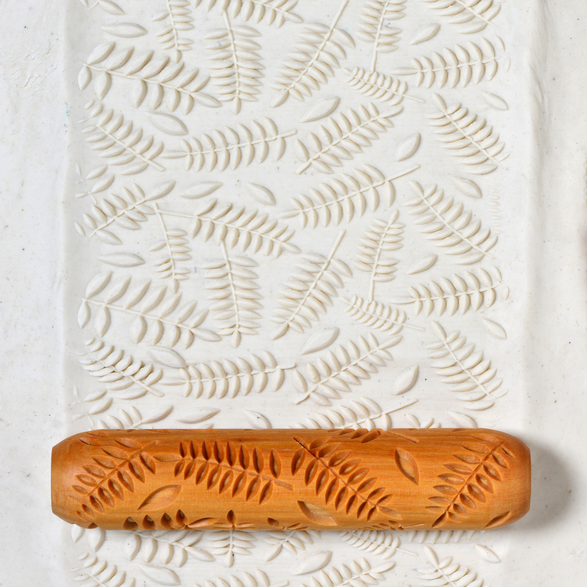 Fern leaves