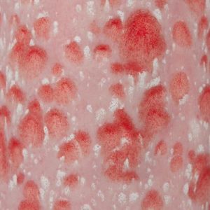 Peppermint Twist - 16 oz Mayco Jungle Gem Crystal Glaze